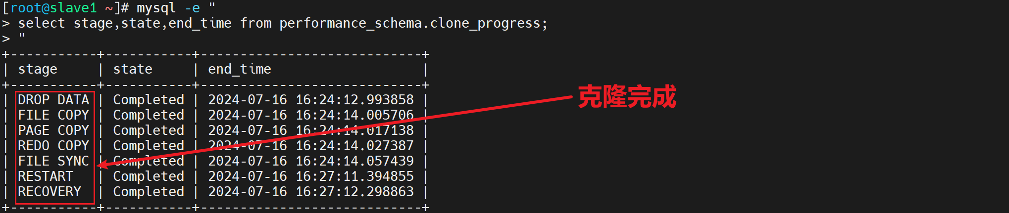 image-20240716163054106