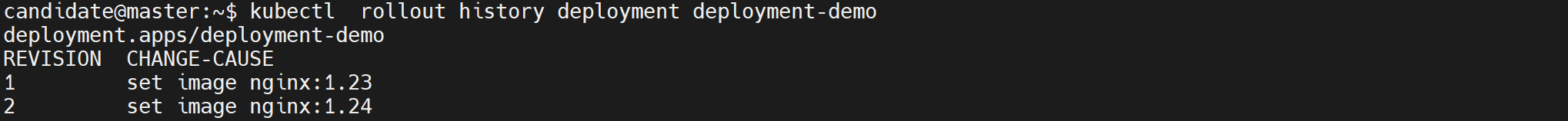 image-20240901140219312